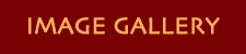 gallery head